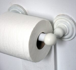 Toilet roll (CC licensed by Quinn Dombrowski via Flickr).jpg
