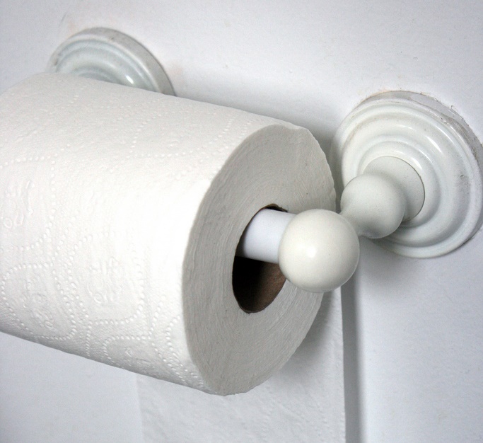 Toilet roll (CC licensed by Quinn Dombrowski via Flickr).jpg