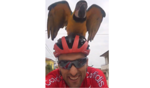 Frankie and Luis Angel Mate (via Twitter).PNG
