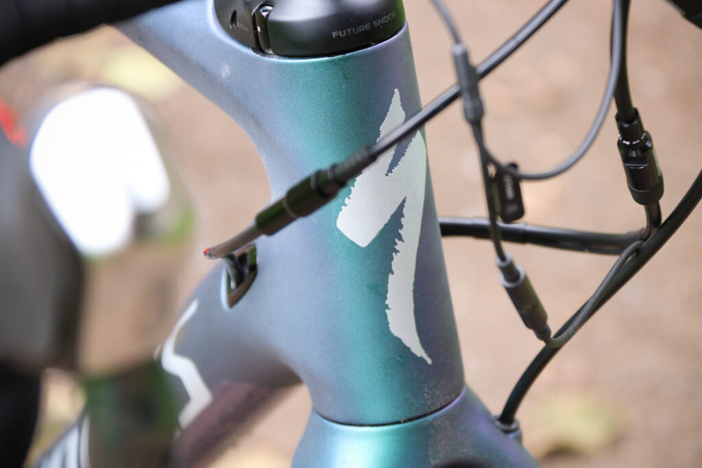 Specialized S-Works Diverge – head tube badge.jpg