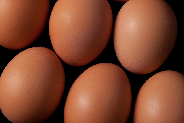 Eggs (licensed CC BY 2.0 by Phil Long on Flickr).jpg