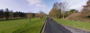Pembrey County Park (via StreetView).jpg