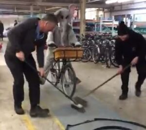 Elephant Bike curling.JPG