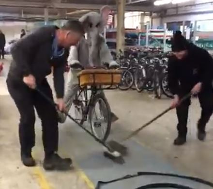 Elephant Bike curling.JPG