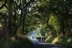Velo south promo 3.jpg