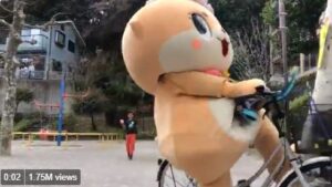 Cat.JPG