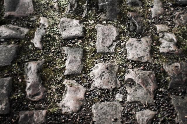 Arenberg (copyright Simon MacMichael) (1)