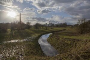 jufferswaard_nature_reseerve_source_gelderland.nl.jpg