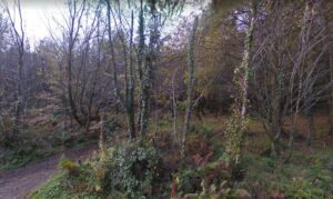 upper_forest_lampeter_via_streetview.jpg