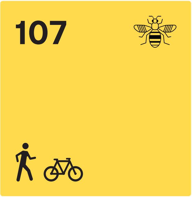 Beelines signage.JPG