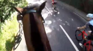 Horse rider hit by undertaking cyclist during triathlon (source Facebook).JPG