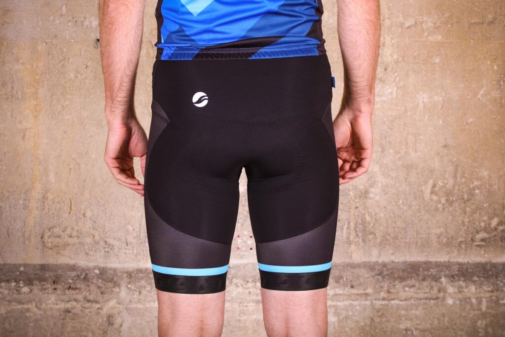 giant_elevate_bib_shorts_-_rear.jpg