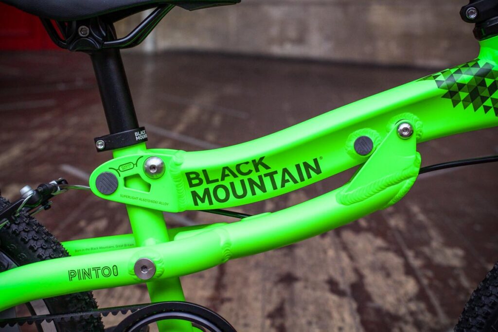 blackmountainpinto-frame