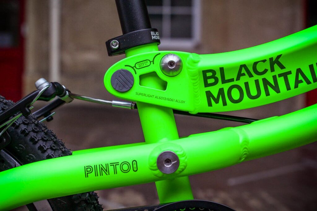 black_mountain_pinto_-_frame_detail.jpg