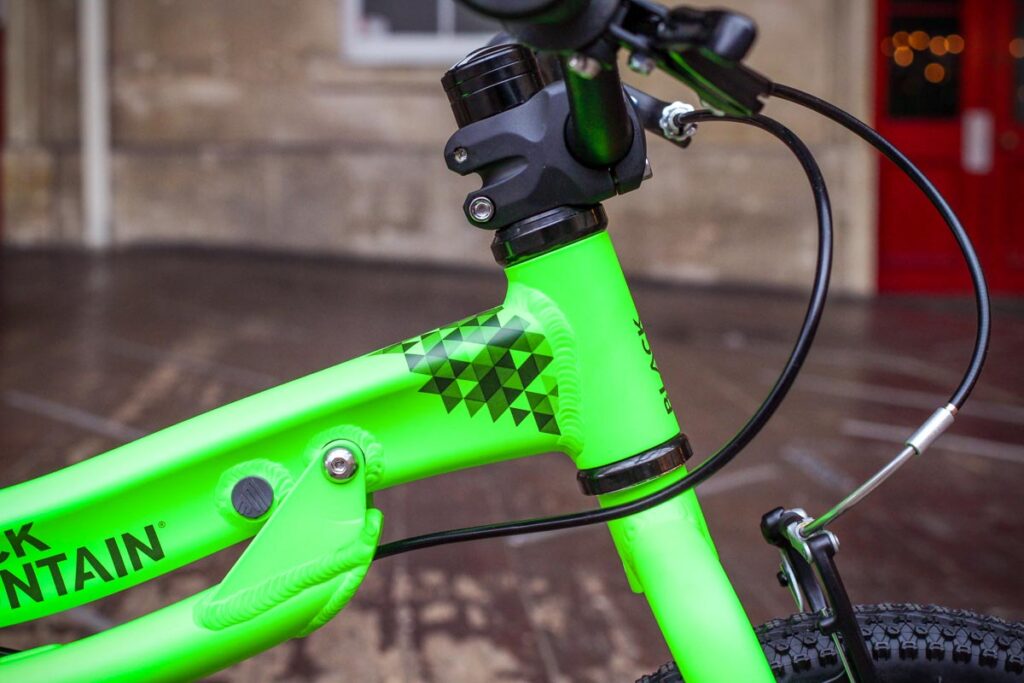 black_mountain_pinto_-_headtube.jpg