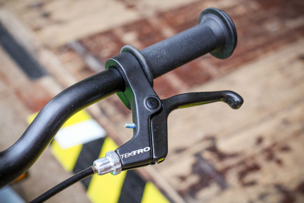 black_mountain_pinto_-_lever.jpg