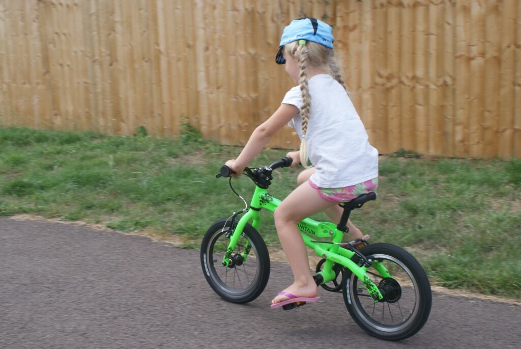 Black_Mountain_Pinto_riding_2.JPG