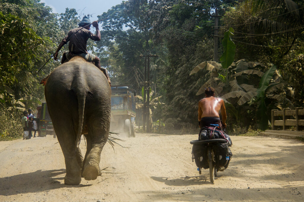 escape_by_bike_-_pete_rides_up_alongside_a_work_elephant_-_to_the_surprise_of_its_rider_-_in_northeast_india_c_joshua_cunningham_2018.jpg