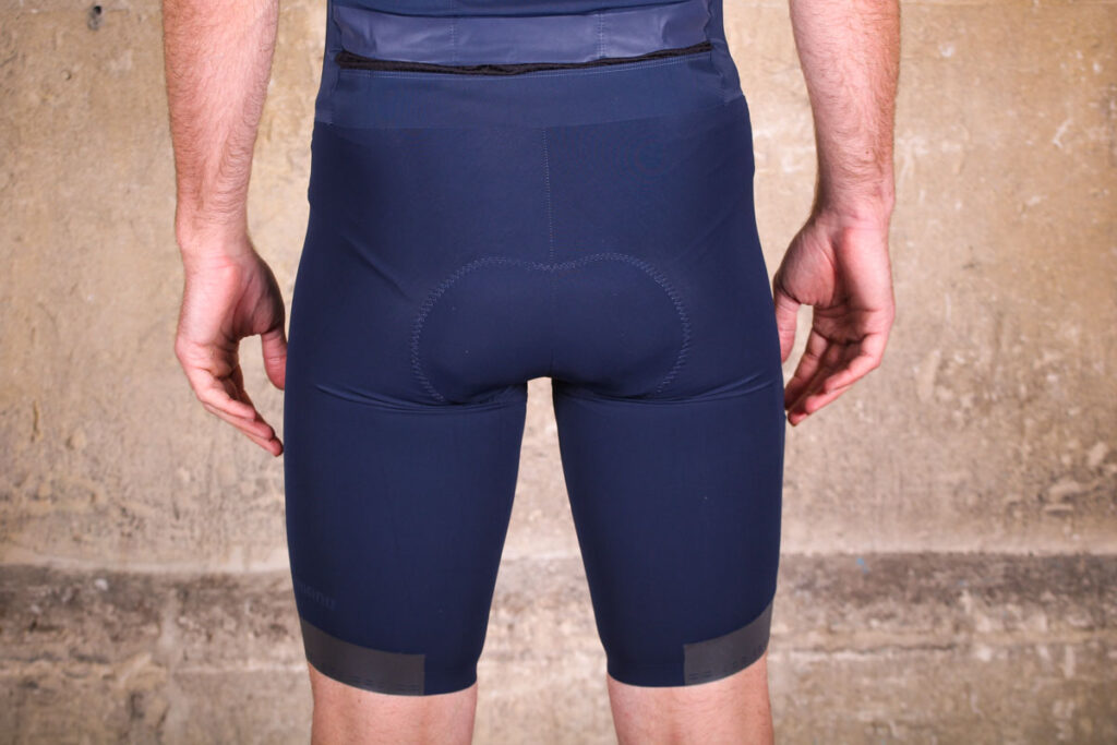 shimano_evolve_bib_shorts_-_rear.jpg