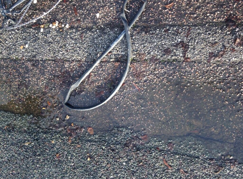 Flat Tube