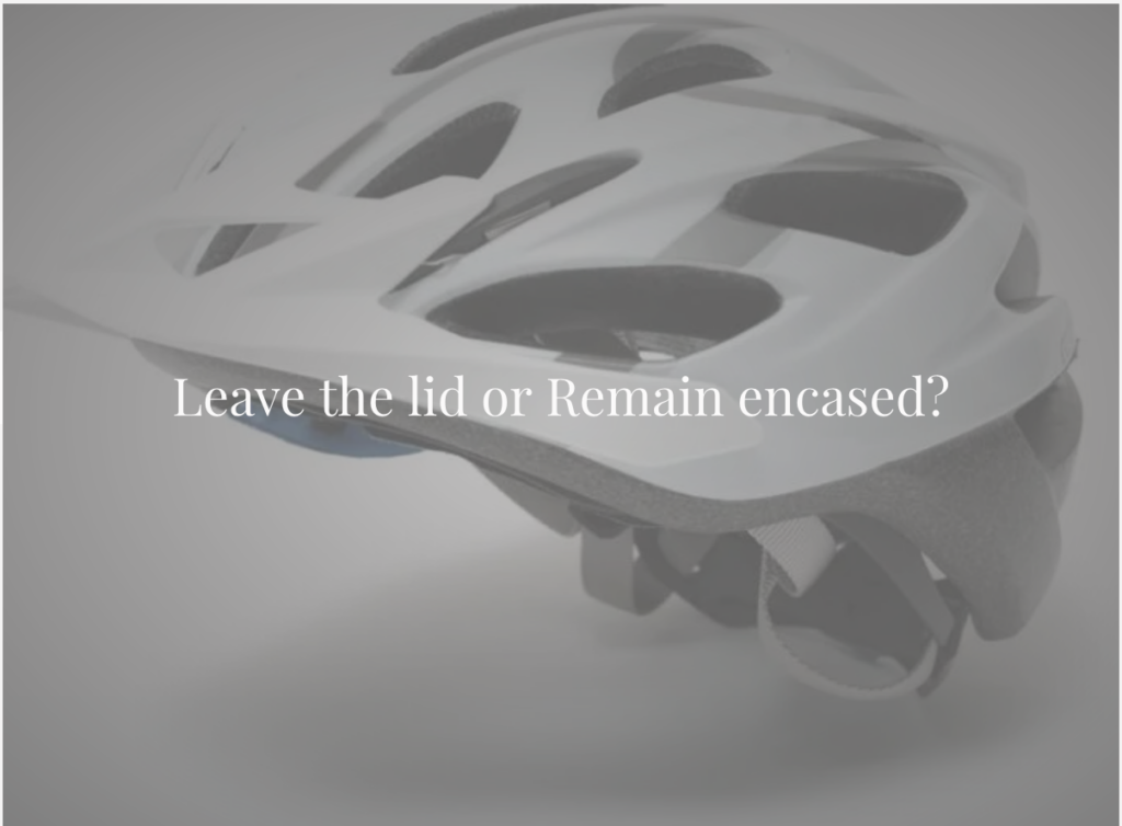Leave Remain helmet poll cover