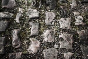Arenberg (copyright Simon MacMichael) (1)