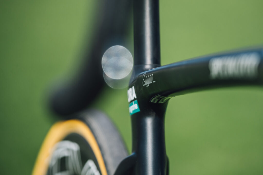 peter sagan specialized roubaix9.jpg