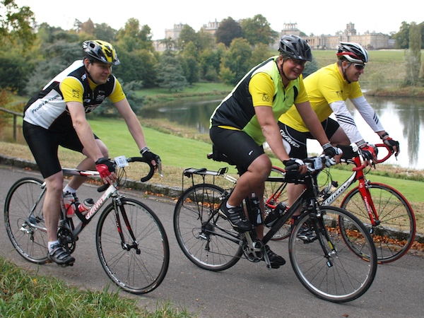 Blenheim Sportive 14