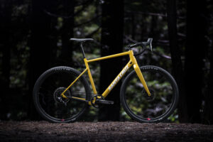 Santa Cruz stigmata outside_mustard
