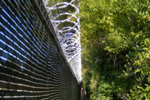 Razor wire (licensed CC BY SA 3.0 by J Smith on Wikimedia Commons)