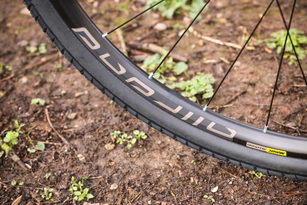 Wilier Jena – rim.jpg