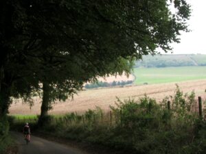 Here be Dragons – Hampshire.jpg