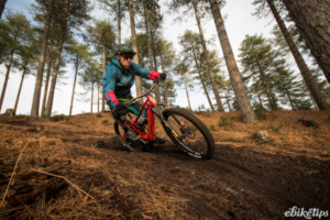 riding trail shredding