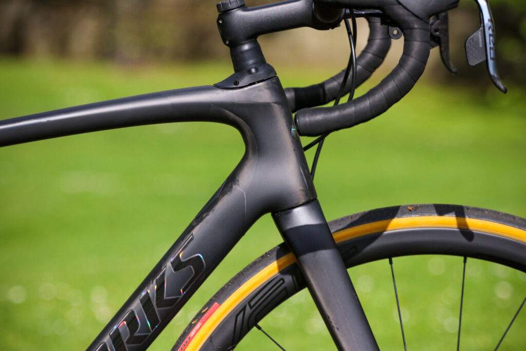 Specialized Roubaix – head tube.jpg