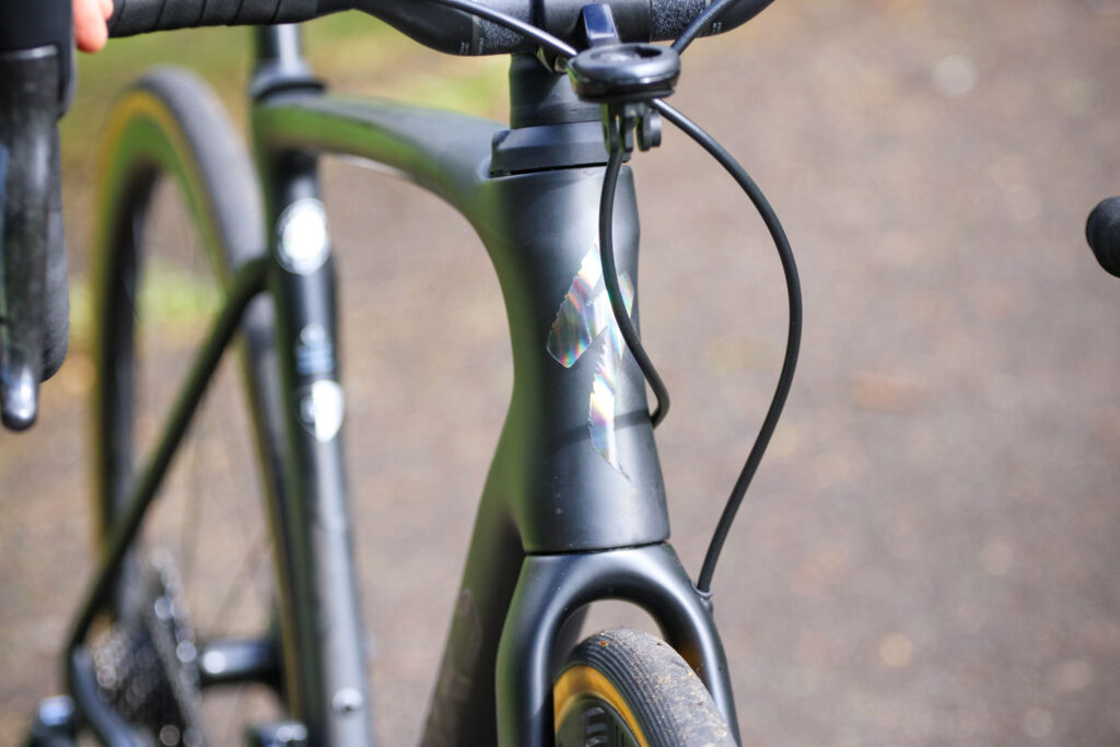 Specialized Roubaix – head tube badge.jpg