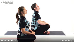 Yoga part 22 – scapula.jpg