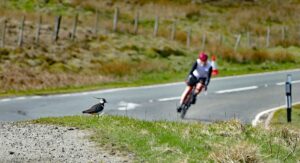 Cyclist