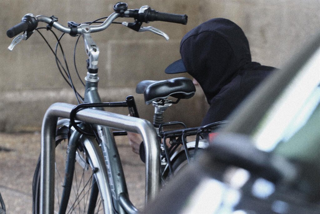 Bike thief 2019 – 2.JPG