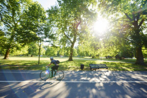 Cyclist inHyde Park