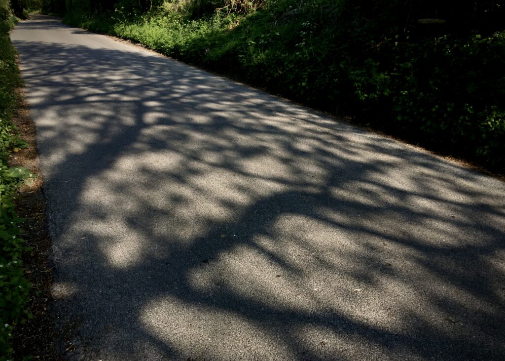Isolated Empty Road