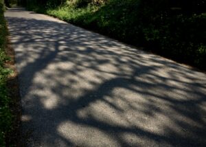 Isolated Empty Road