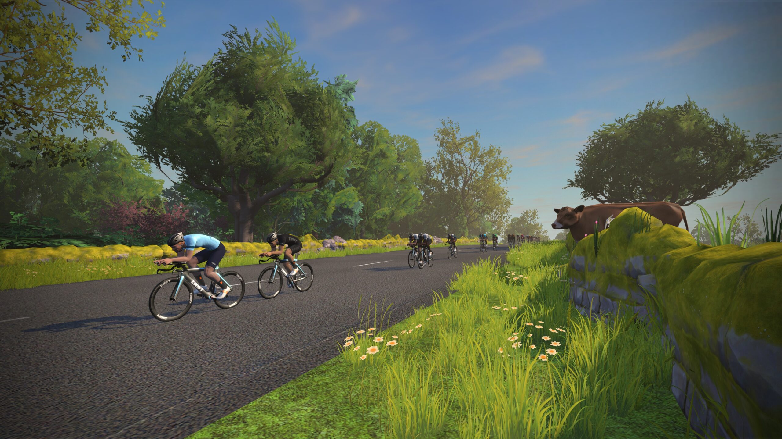 zwift-yorkshire11