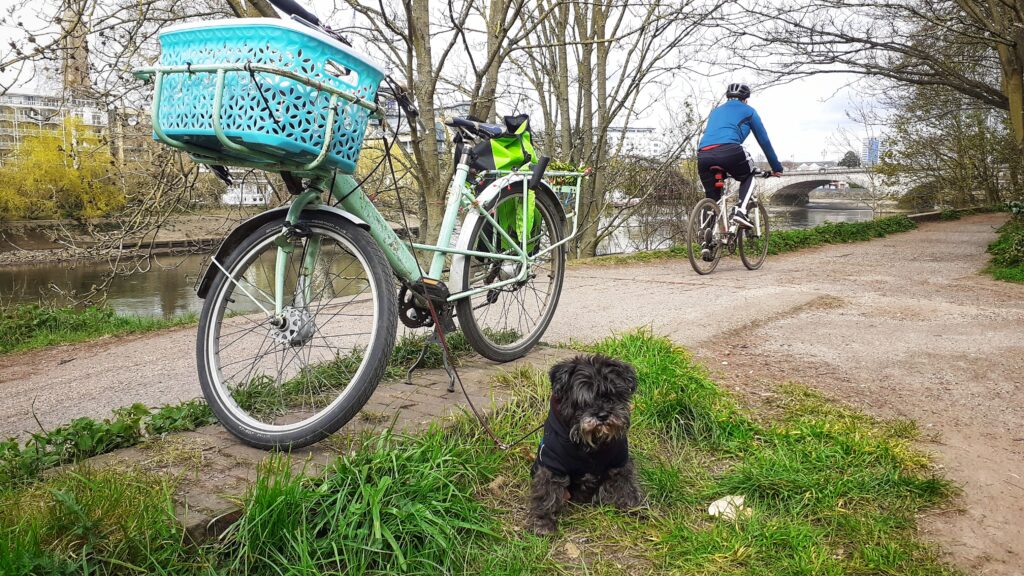 30 Days of Biking 1