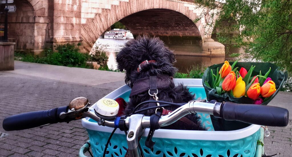 30 Days of Biking 5