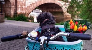 30 Days of Biking 5