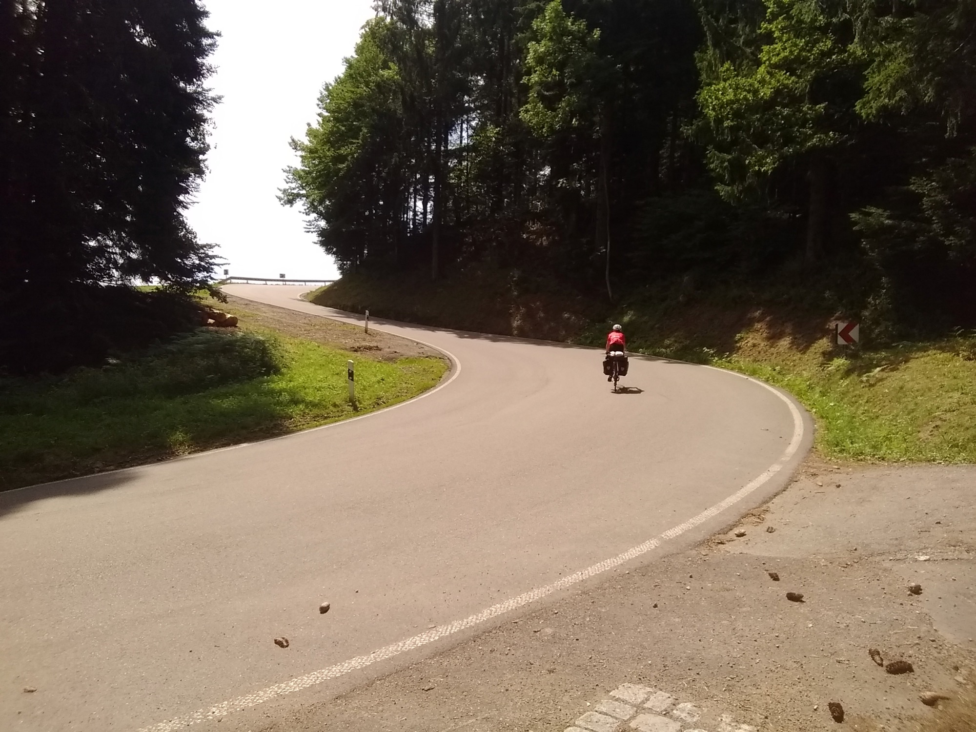 Black Forest Climbs