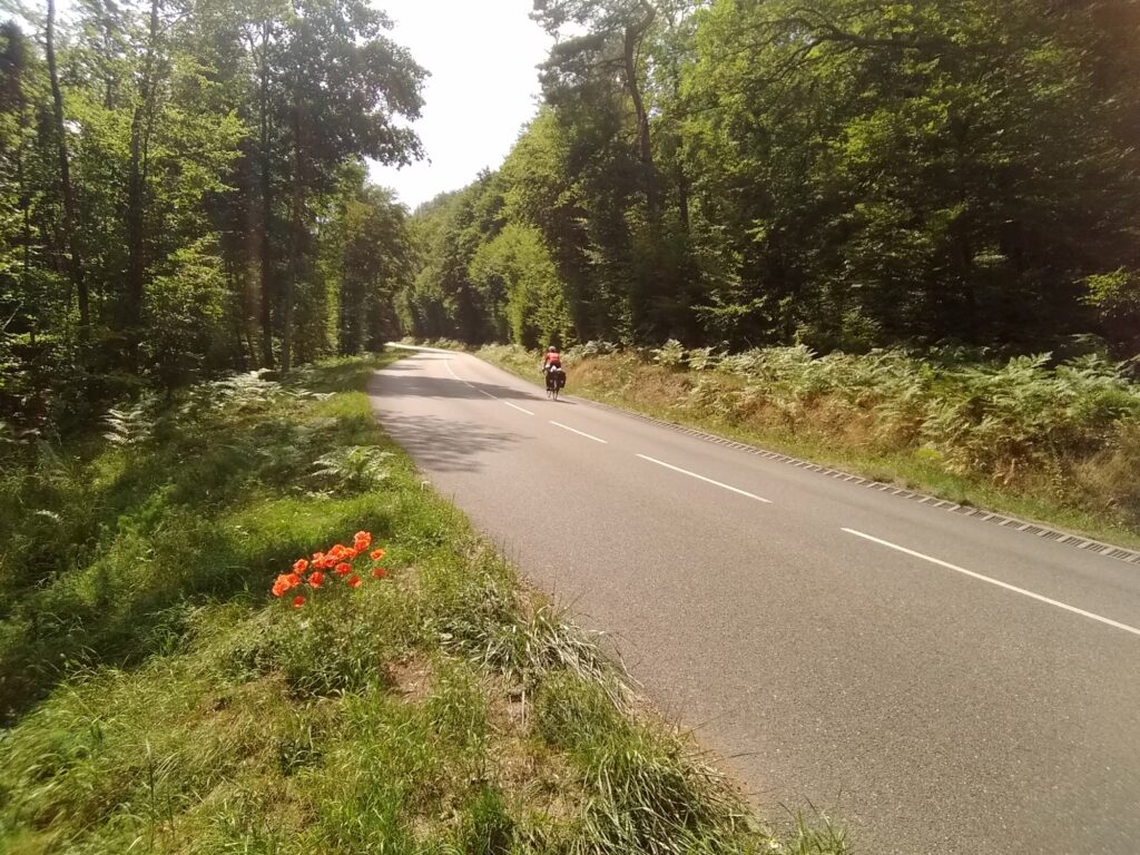 Hanau National Park.jpg