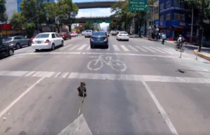 Runaway dog.PNG