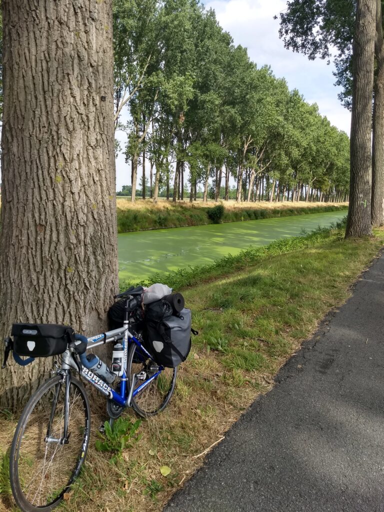 Schipdonk Canal, it’s green!.jpg
