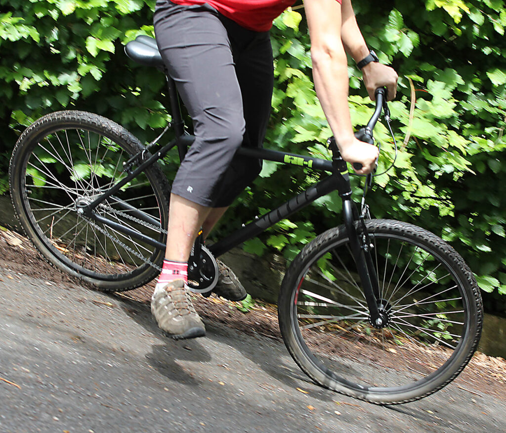 Vitus Vee 1 skids.jpg